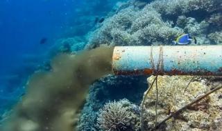 排海现场海水呈两种颜色